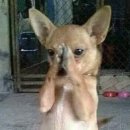 무인텔휴 | 남자보러 훨훨 날아간 남미새 일기