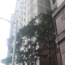 교동마을 동양파라곤 이미지