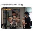 네쌍둥이 육아하는 아빠의 요령 이미지