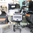 엘리스펫 이미지