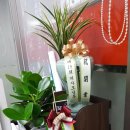 대박드림부동산공인중개사사무소 이미지