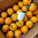 한라봉브로콜리 이미지