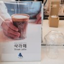 블루샥수영 - 72762 | 블루샥수영