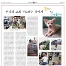 강아지봄 이미지