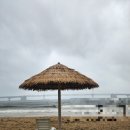 스타벅스 광안비치점 | 광안리해수욕장&amp;스타벅스 광안비치점(주차정보)