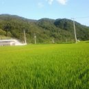 수일 농장 이미지