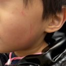 다채움피부과의원 이미지