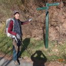 김삿갓면-3 이미지