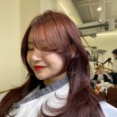 헤어퍼플 이미지
