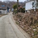 김기정농장 네이버블로그