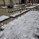 8월8일.6물때.13척 어선(먹갈치,병어,홍어,잡어) 9일~17일 까지 여름휴가 입니다. 이미지