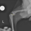 밤비동물병원 이미지