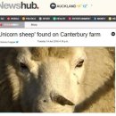 유니콘농장 이미지