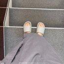 강남 다이어트주사 효과 2회차 비교 후기