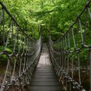 통고산자연휴양림 | 국립 통고산 자연휴양림 (경상북도)