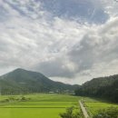 달다란꽃집 | 일상