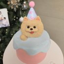 댕스투유 | 대구 강아지 케이크 수제간식 귀여운 반려동물선물 댕스투유