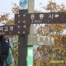 샤넬부동산공인중개사사무소 이미지