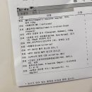 대한동물병원 | 고양이 mri 촬영, 분당 2차 동물병원 해마루, 딜리동물병원 협진 후기