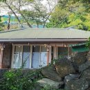 퐁낭아래 이미지