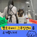 헬로우 그루밍 이미지