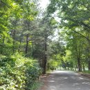 도둑골야영장 이미지