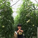 은준농장 이미지