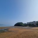 씨펜션