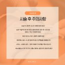 (수영속눈썹펌) 수영역 해드림스튜디오 속눈썹펌 후기