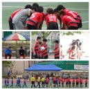 비룡초등학교 이미지