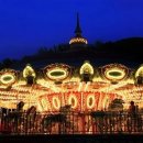 서울이용권 | 🎢 과천 서울랜드 종일 파크이용권 솔직 후기 &amp; 꿀팁 총정리