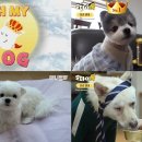 독곰농장 이미지