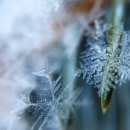 빛나는 사랑 이미지