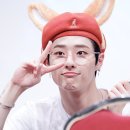 여우야 이미지