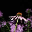 부킹노래연습장 이미지