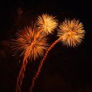 가드닝과 정원만들기 이미지