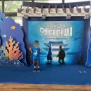 오즈인터 | 더 스토리 오브 언더더씨 5세 관람 후기