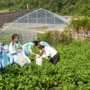 산채으뜸마을 이미지