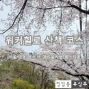 워커힐로 | [광장동 워커힐로 산책코스] 서울 벚꽃 명소 (ft. 체리 블라썸 페스티벌)