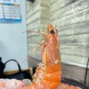 정가네회양념 이미지