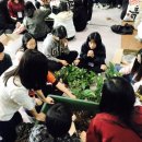 이기홍농장 이미지