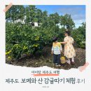워니 농장 | [제주도 시리즈 3탄] 제주 보메와산 감귤체험 🍊 아이랑 귤따기 좋은 동쪽 코스(feat. 놀이터)