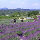 윤정농장 이미지