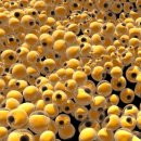 헬스버스 이미지