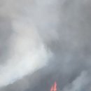 *북구 노곡동(함지산 산불)4월29일* 이미지