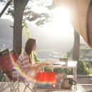 들꽃피는언덕 이미지