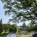 서울 자전거 코스 추천🌿 어대공 카페, 베이글, 그릭요거트 맛집 추천 : [아오스요거트] [카페러슬] 후기