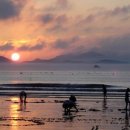 관매도해수욕장 이미지