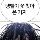 백호인력 이미지
