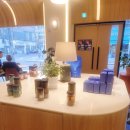 주정차단속-135 이미지